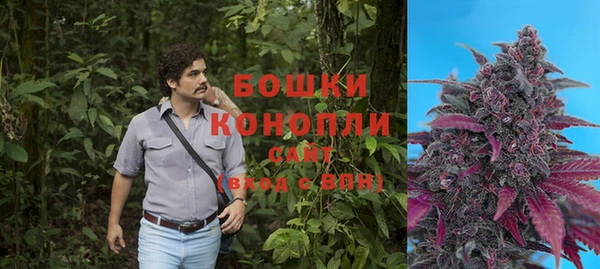 винт Арсеньев